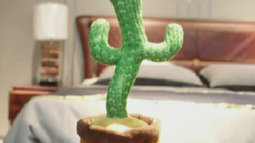 cocaine cactus toy