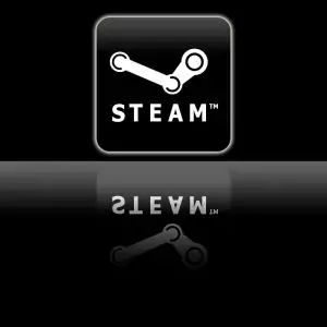 Steam Logo1 e1299812840528 300x300